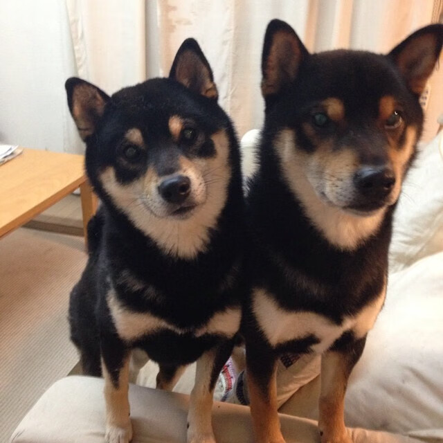 全国青少年篮赛精彩瞬间集锦，展现少年风采，2021年青少年篮球比赛