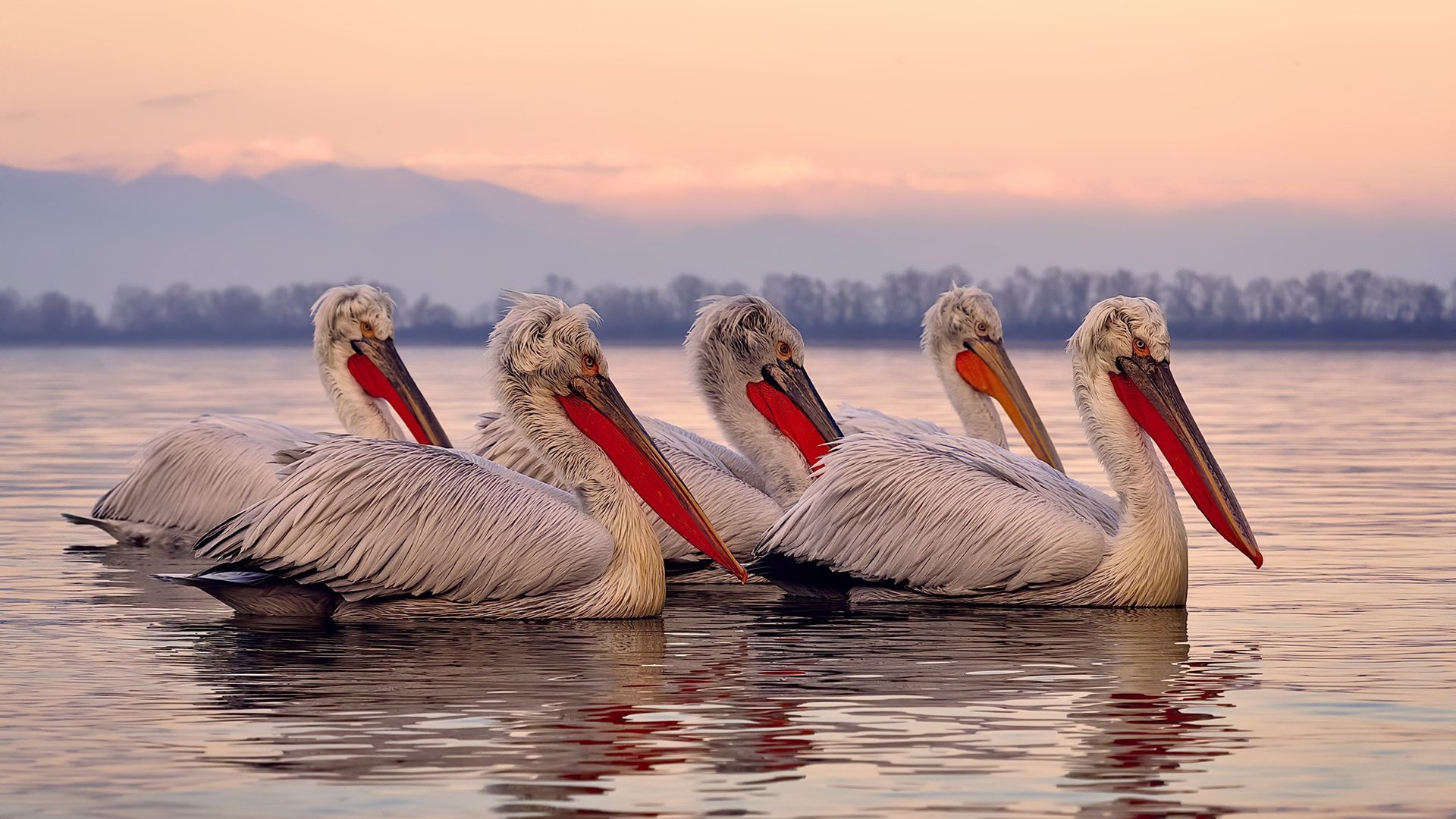 新赛季赛事奖金池大幅提升,赛季奖励截止时间