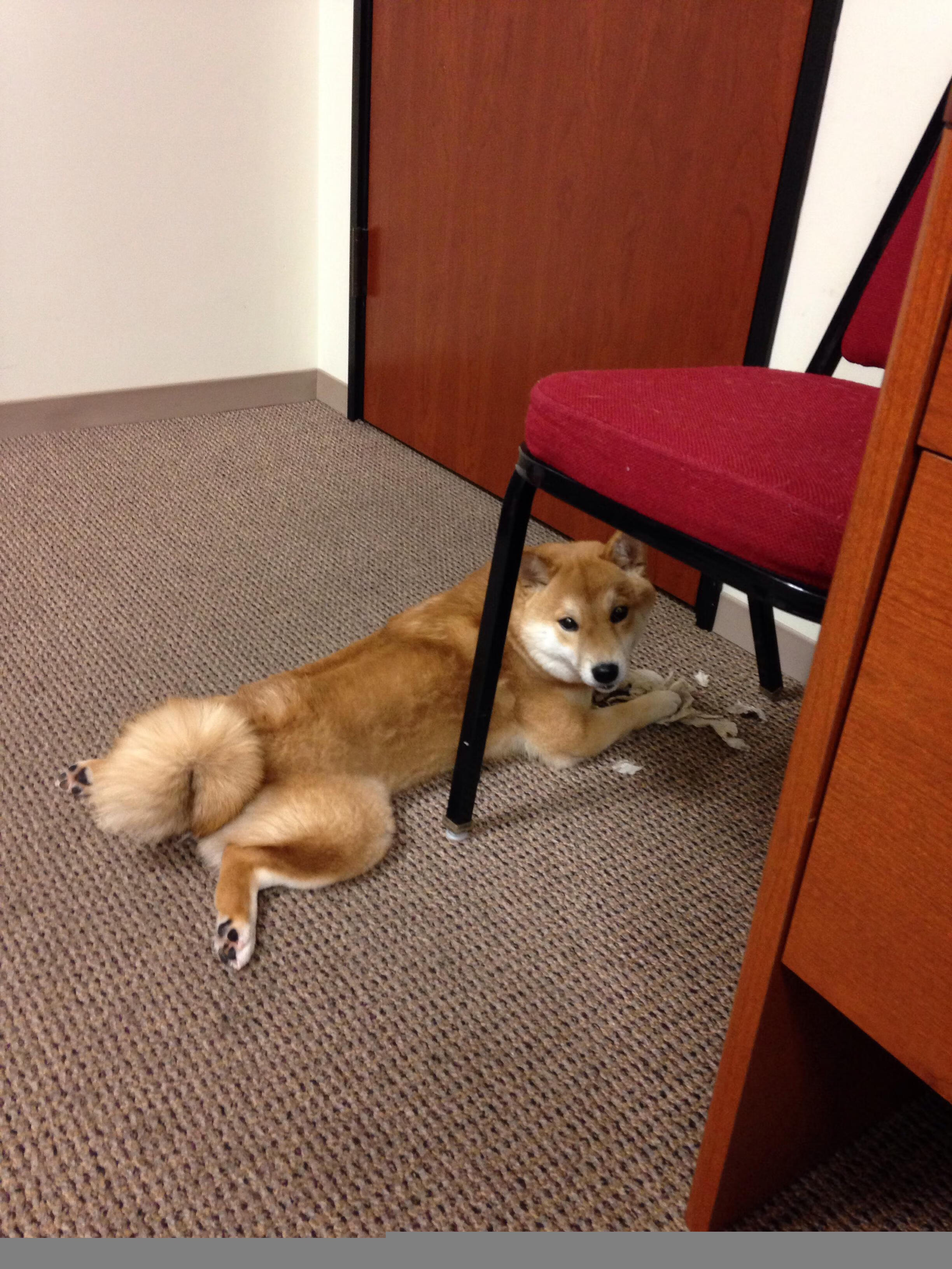 最佳团队配合:完美默契带来胜利的秘诀,团队协作配合默契