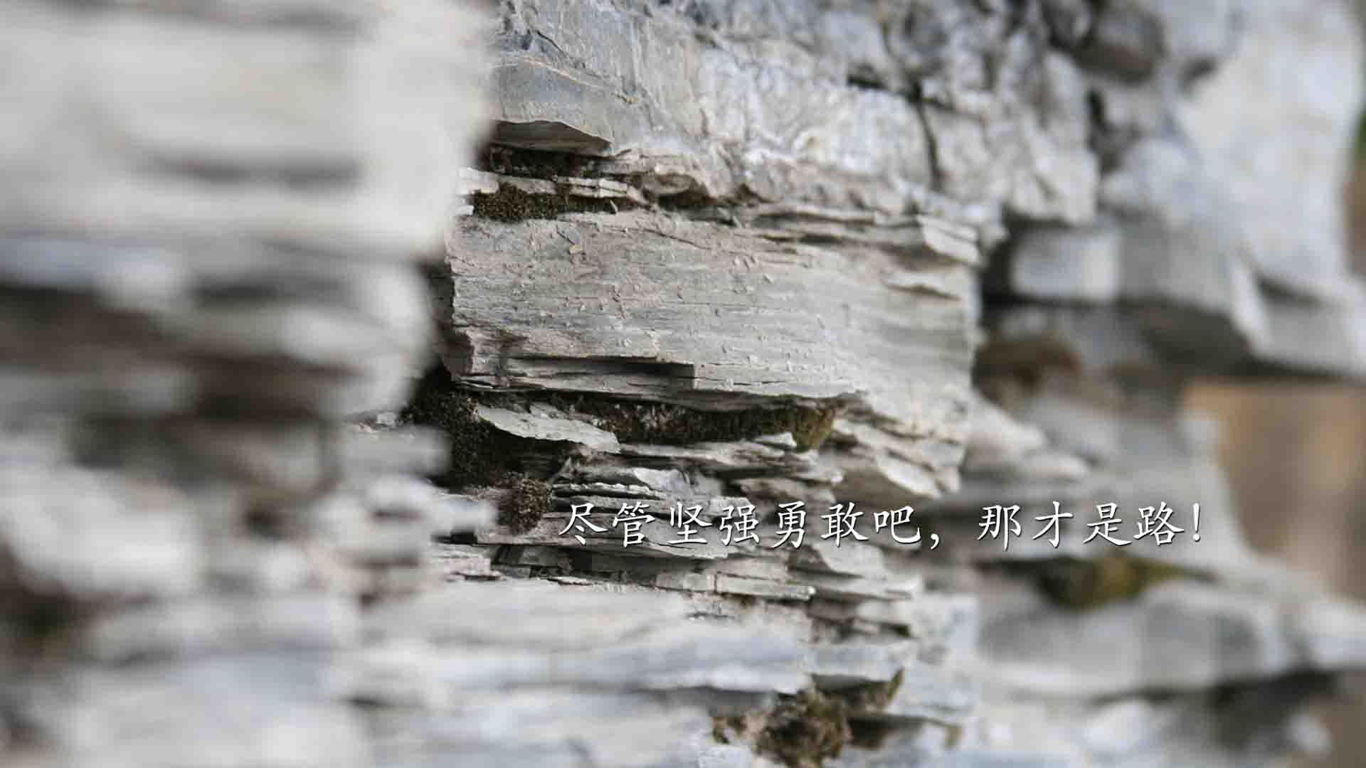 特色城市极限跑酷秀,青年人的街头狂欢,城市极限跑酷游戏