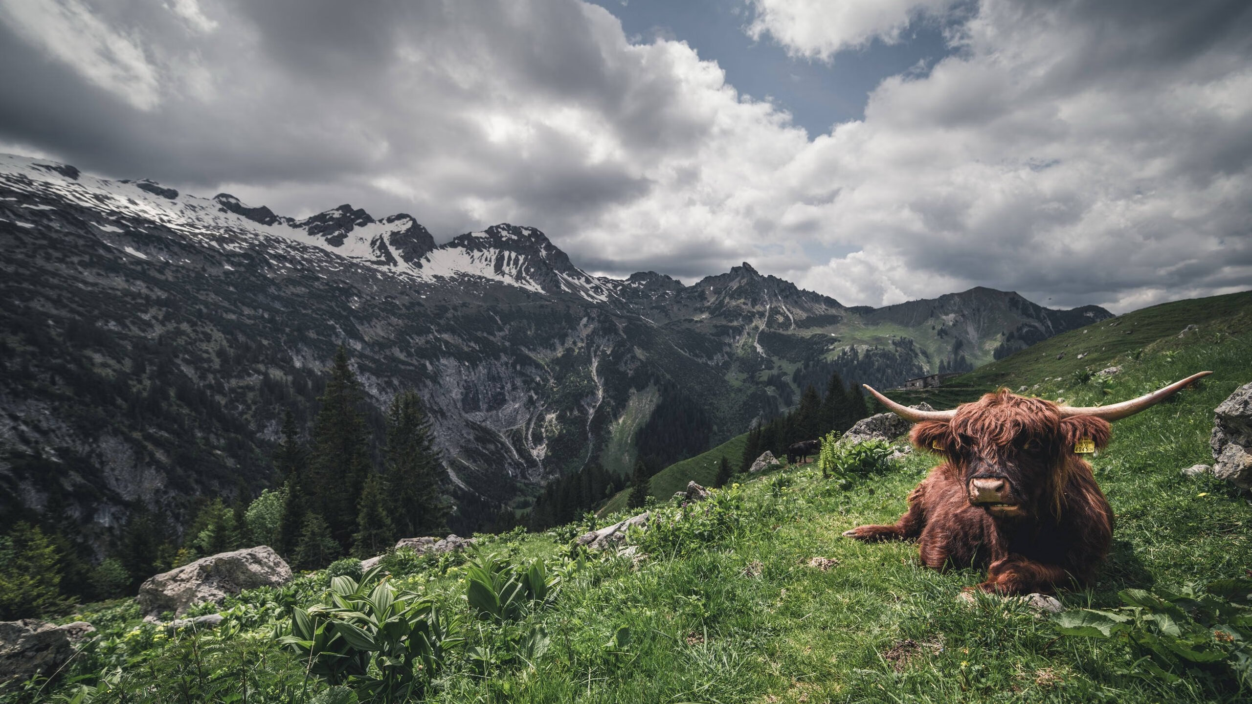 西甲经典夜,精彩攻防、关键扑救精彩纷呈,西甲精选