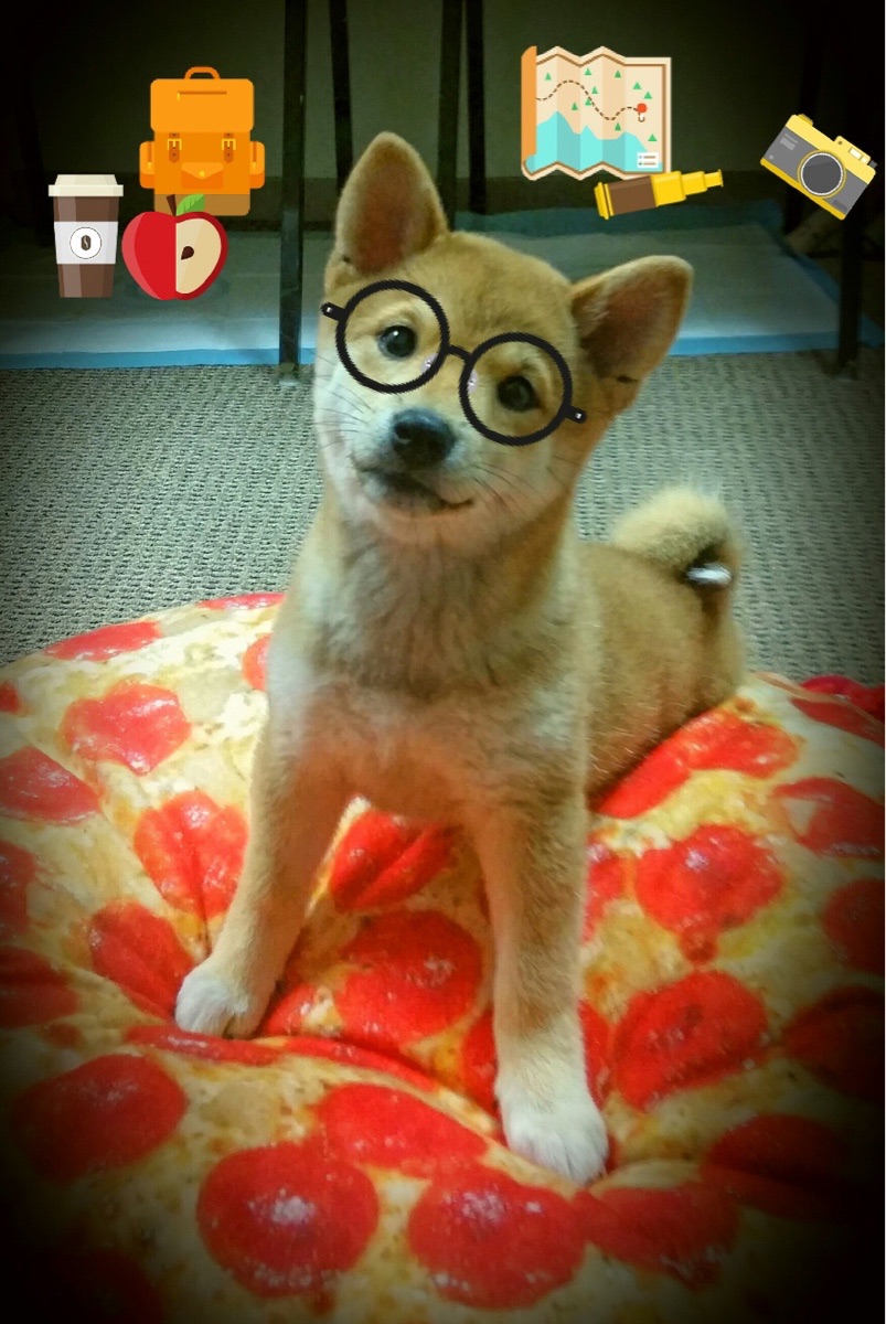 kaiyun官方网站-逆境成长：车手克服伤病的奋斗史