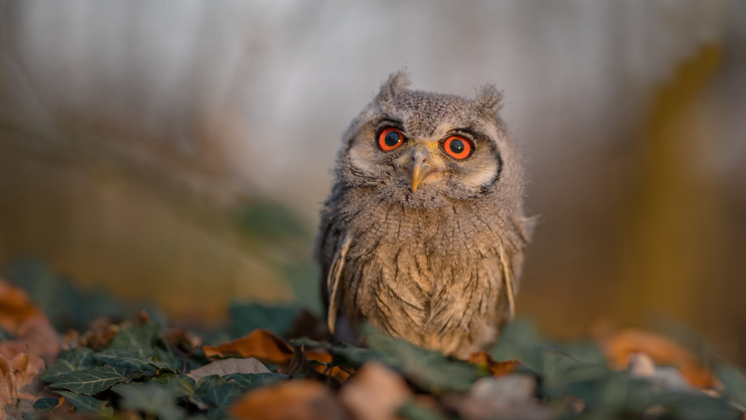 Kaiyun官方登录入口-全球电竞人才培养现状及未来趋势分析，电竞行业人才需求