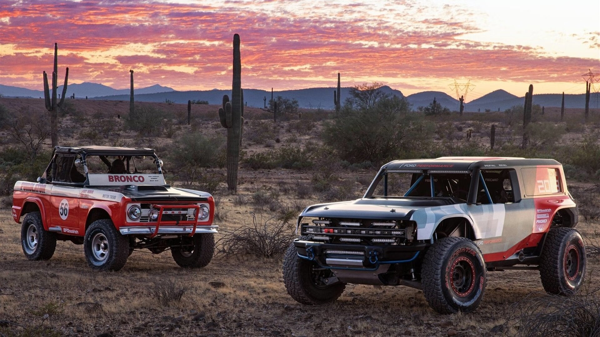 塞内加尔马术协会出版“Lamb”历史专著，记录赛事发展历程。