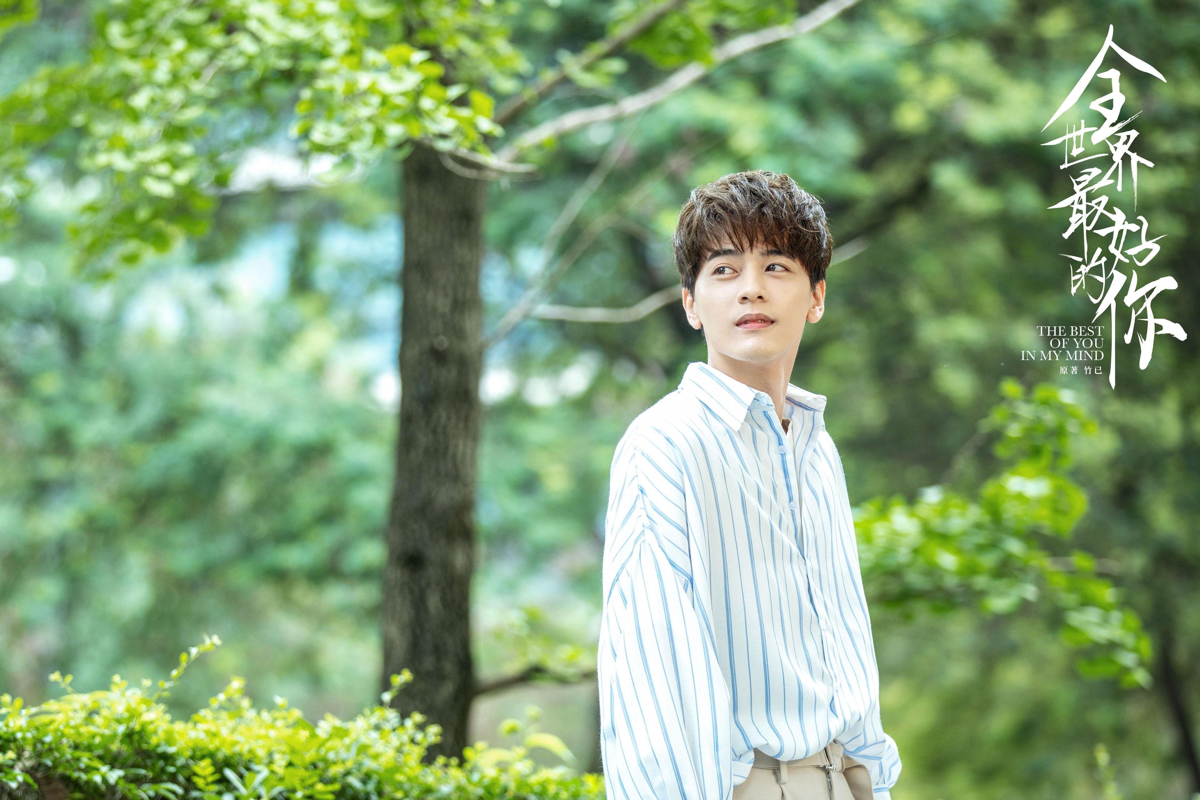 KAIYUN 中国大陆-奥地利队赢得关键胜利，成功跻身欧洲杯正赛，欧洲杯奥地利国家队