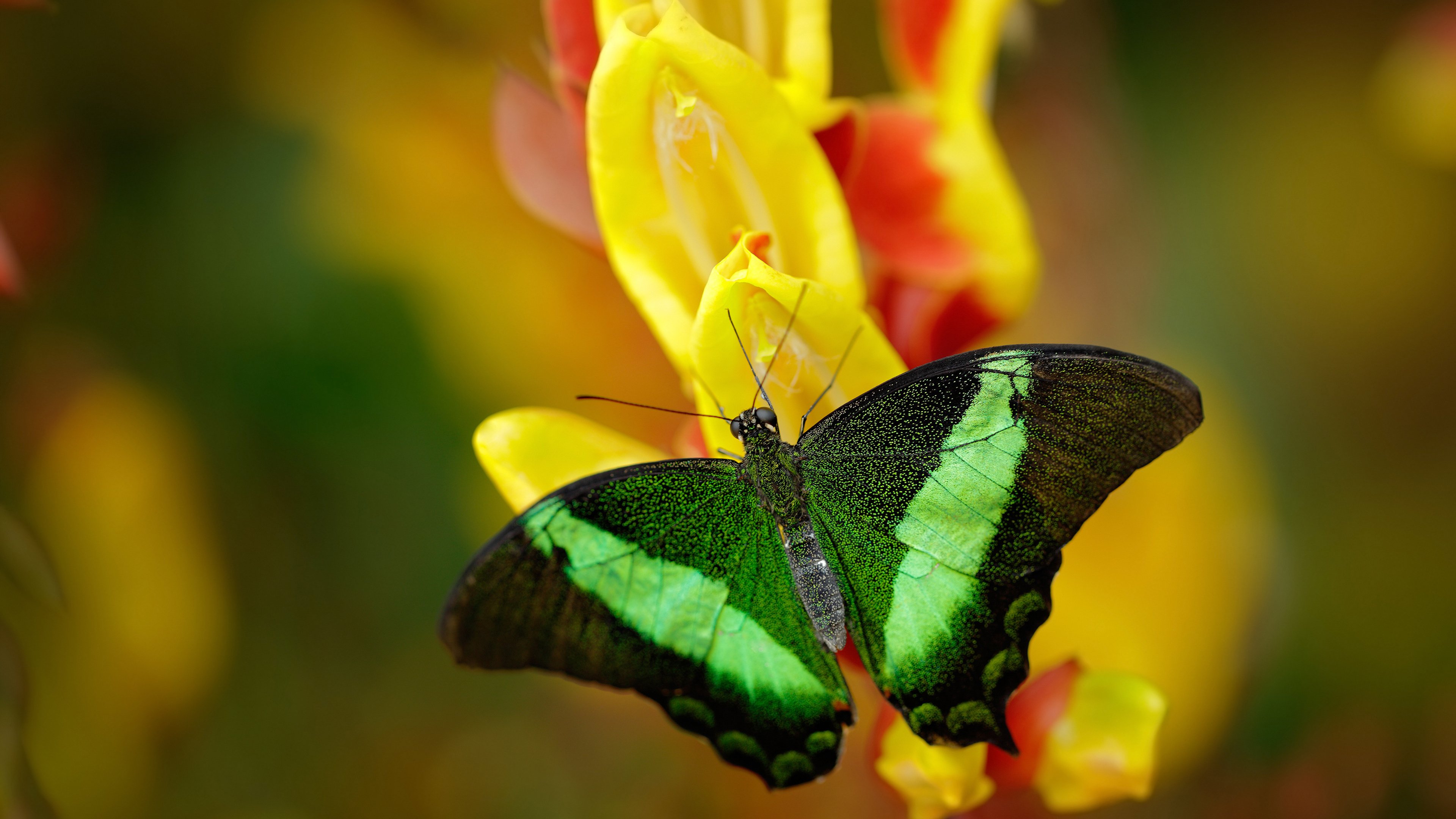 开云网页版登录入口-快船逆袭伦纳德主宰末节，快船伦纳德打什么位置
