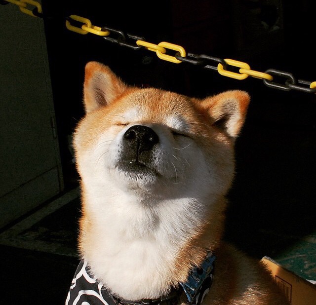 捷克女足遭遇两连败，无缘淘汰赛，捷克女足对波兰女足