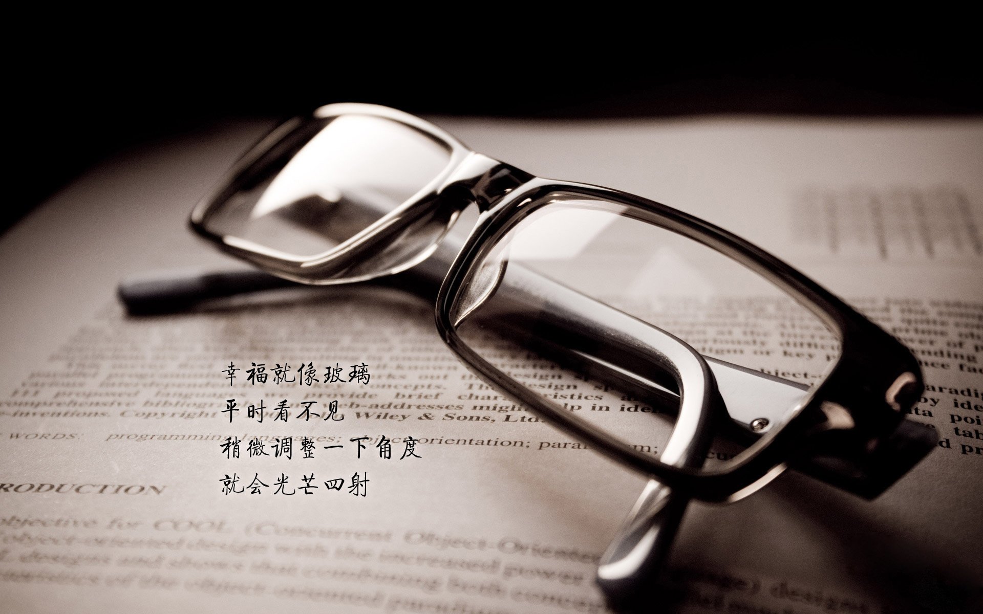 kaiyun.com-汉堡队主场告捷，暂时摆脱降级危机，昨晚汉堡队比赛