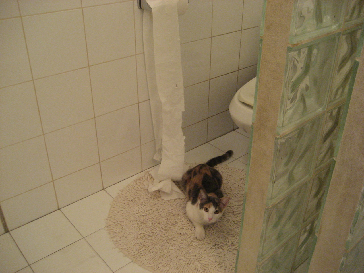 河床球员士气高涨,河床俱乐部球衣