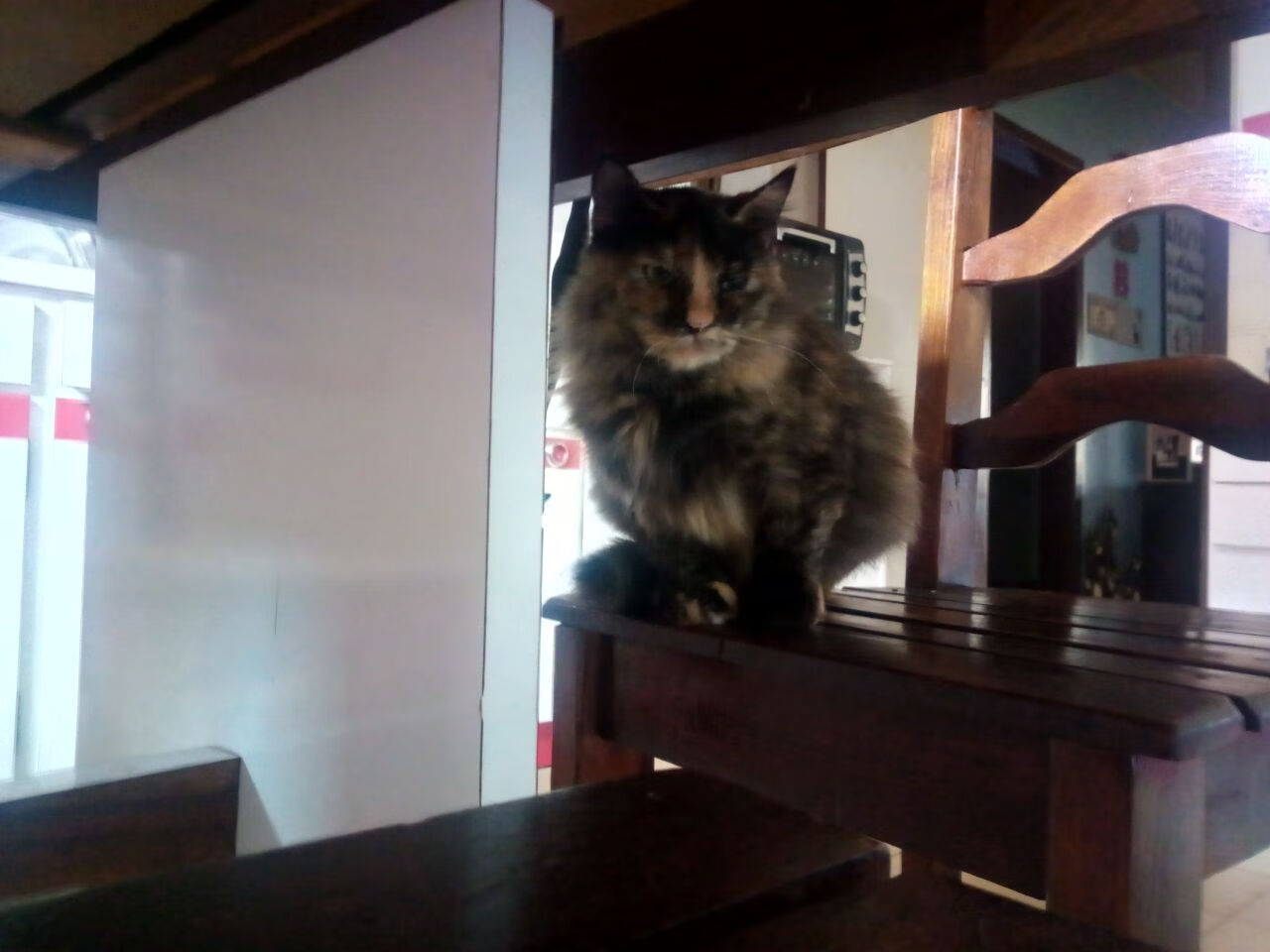 开云·Kaiyun网页版-青海男篮翻盘成功，逆风翻盘实现奇迹，青海篮球谁的水平最好