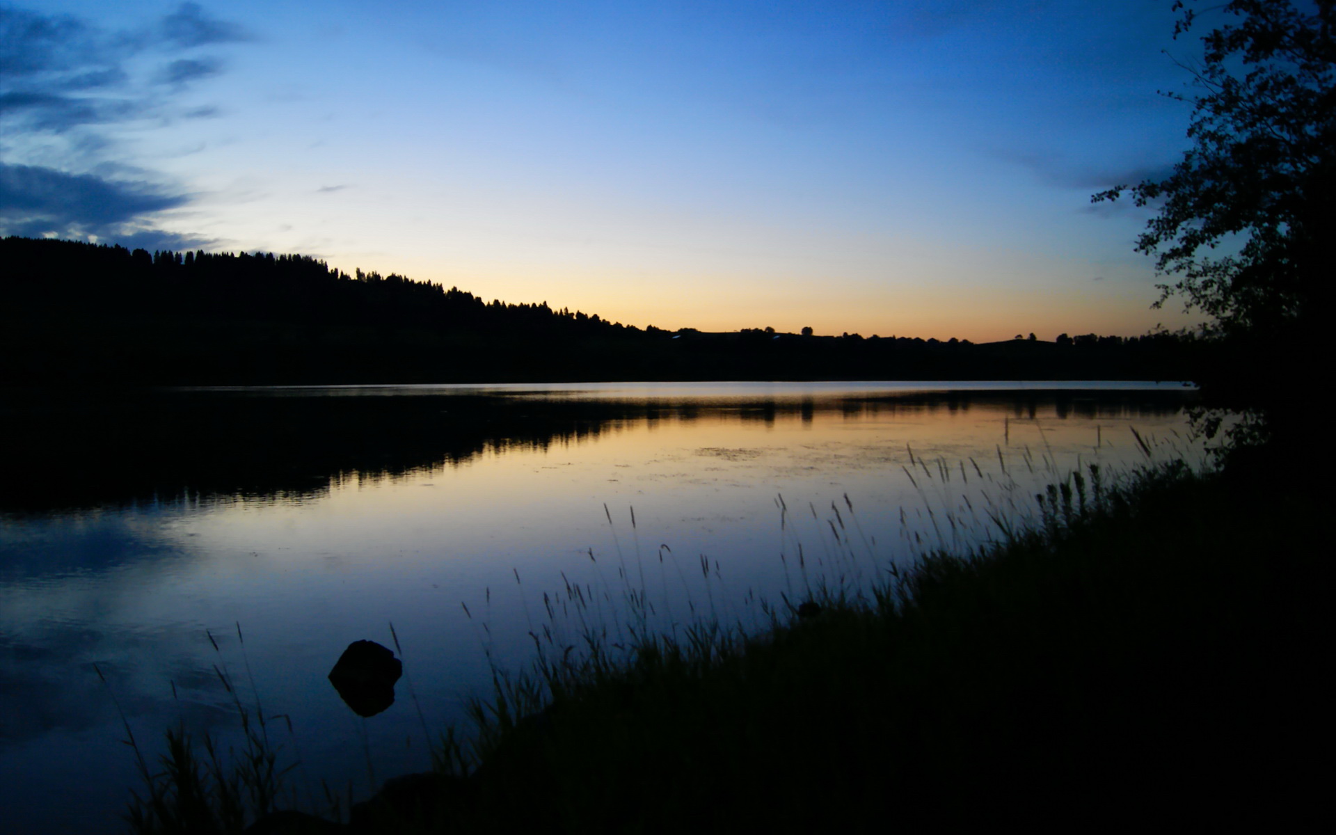 体育组织治理结构中的性别平衡问题分析,体育中的性别不平等