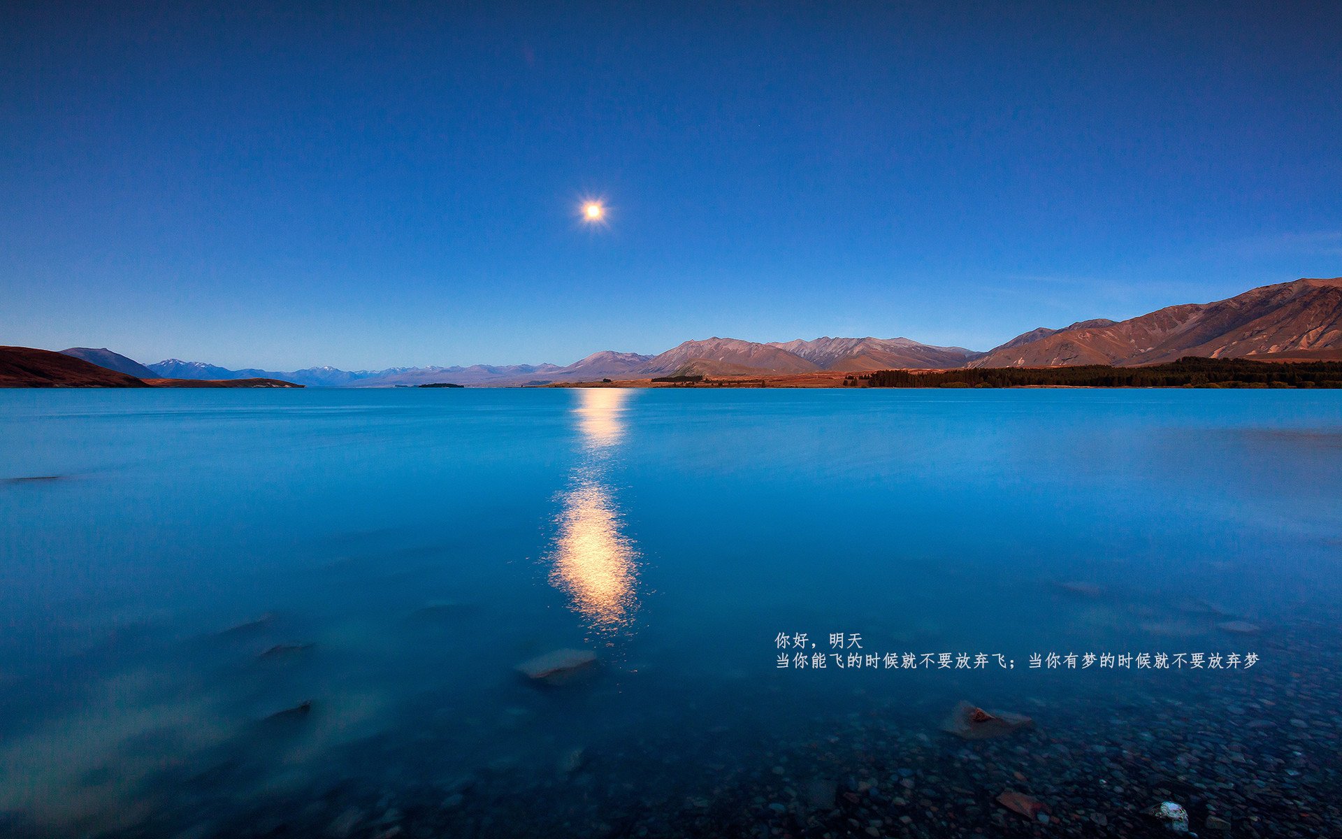 篮球运动员专项技能动作的生物力学动态分析,篮球运动员力量训练计划表