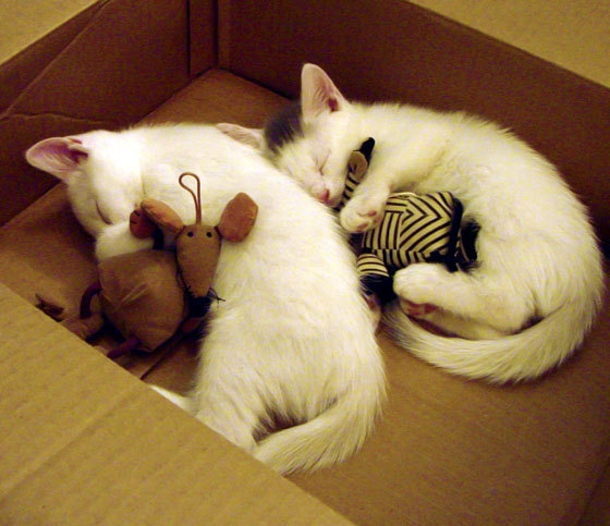 西甲球队利用热区分析调整防守策略,西甲球队地理