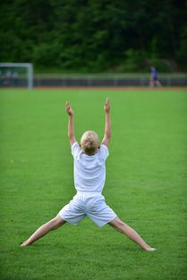 KAIYUN 中国大陆-高校体育专业课程体系动态调整研究，全国普通高校体育教育专业课程方案