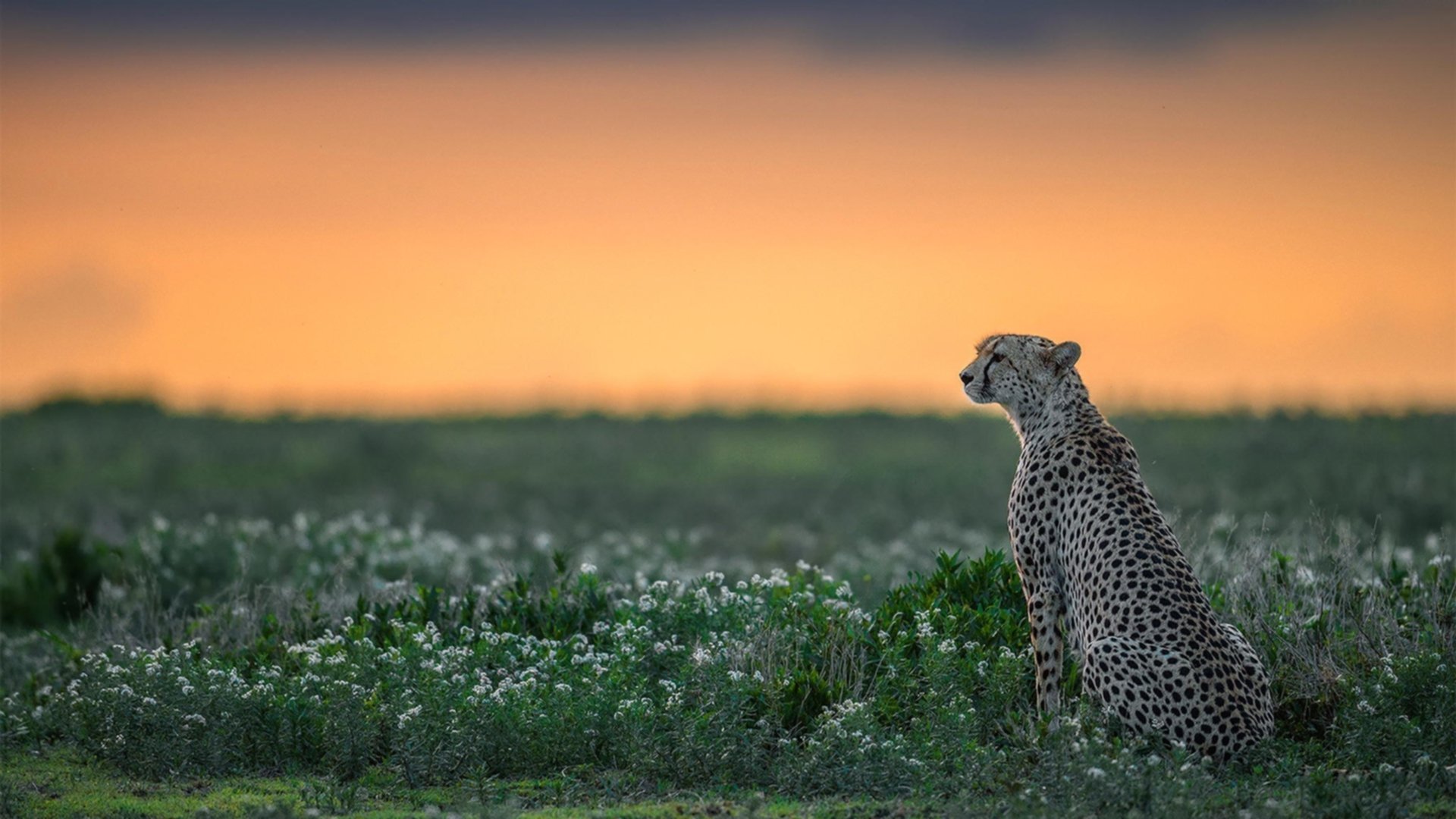 Kaiyun(中国)开云-KPL训练内容逐步多元化强化应变能力