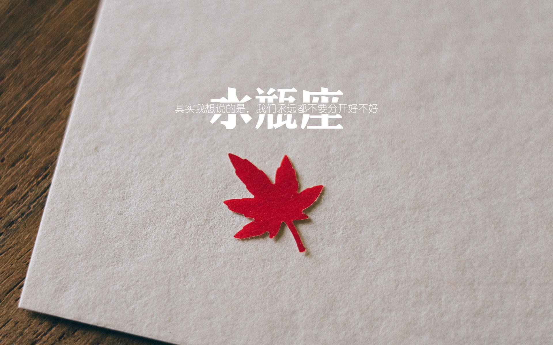 中国男篮备战世界杯 球员状态调整到位,中国男子篮球世界杯