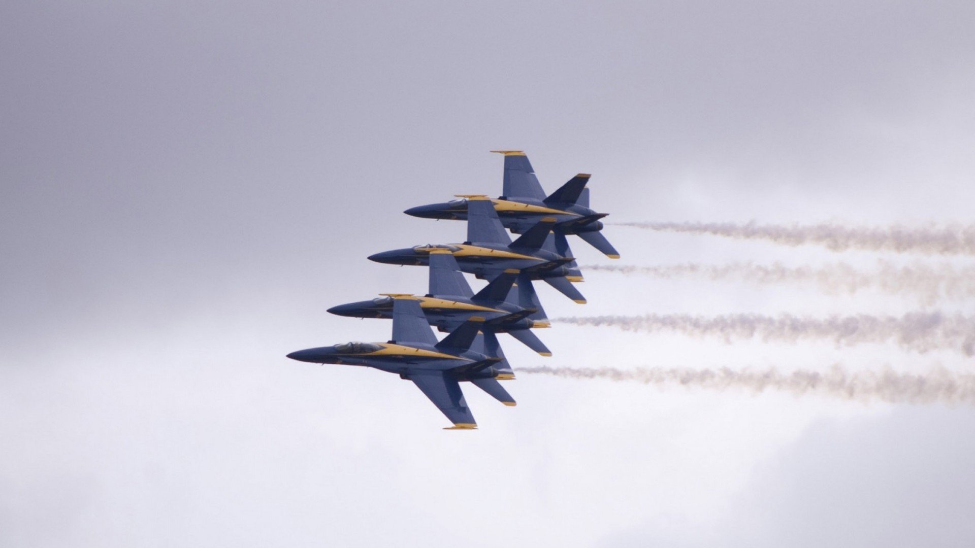 “霍斯特助力南非羚羊队稳守阵地,向世界冠军迈进”