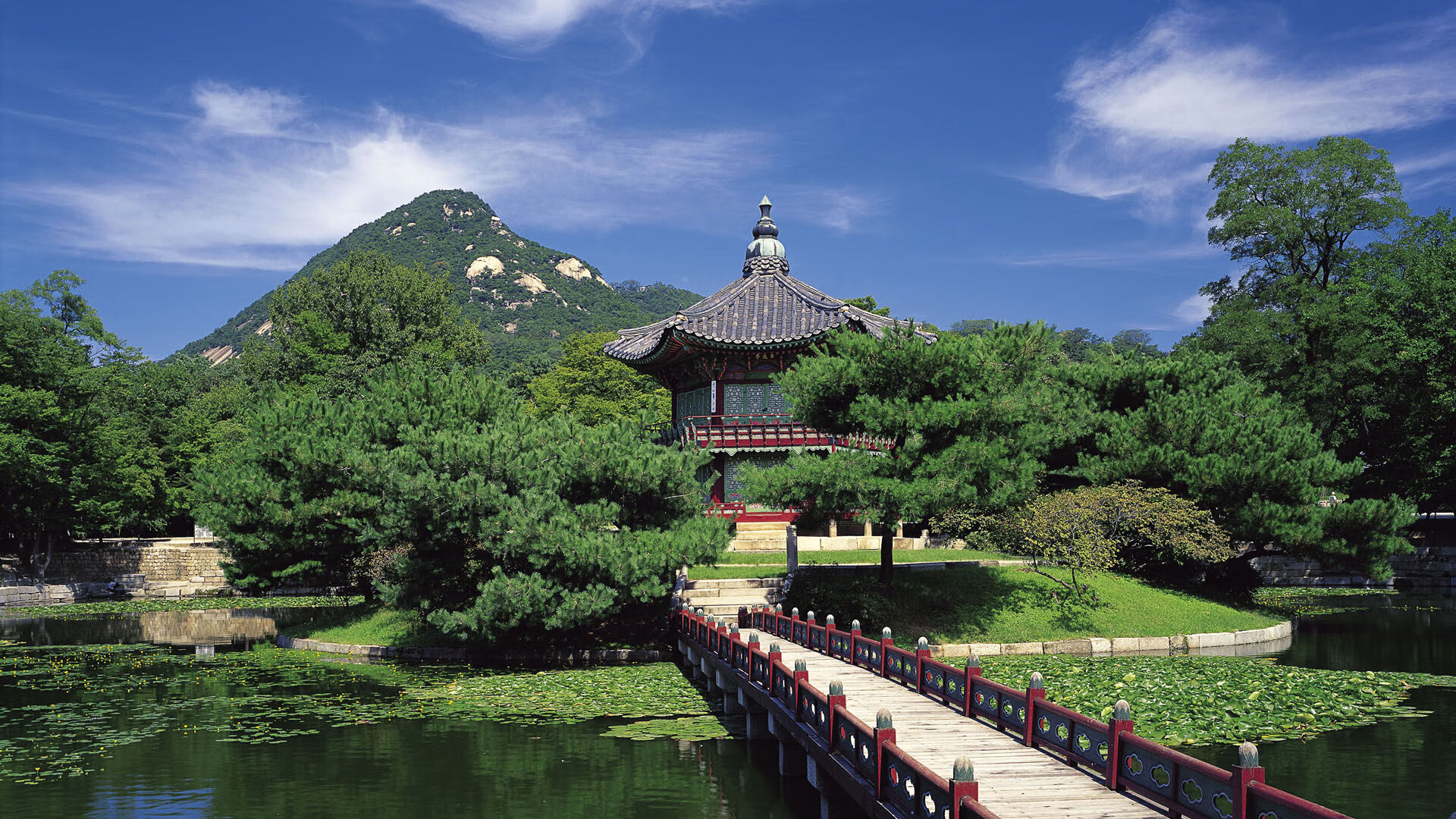 乌干达女篮在非洲锦标赛中奋战到底,期待突破极限,非洲乌干达国家