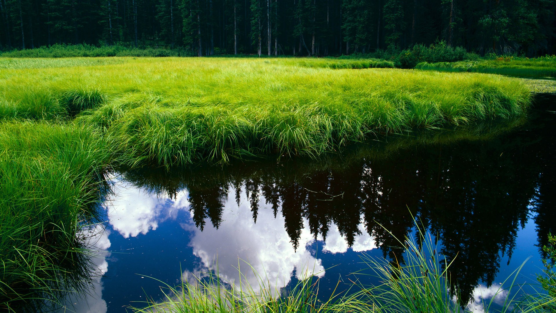利比亚男篮在阿拉伯国家锦标赛中表现出色