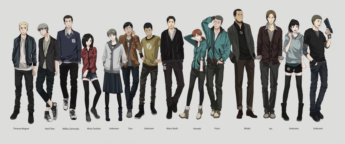 女子排球主力阵容调整优化战术组合,女子排球队员组成