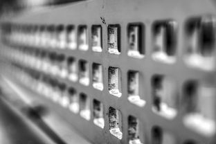 开云体育app-高校运动训练科学管理模式创新实践，运动训练科研管理工作要求